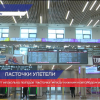 РЖД отменяет несколько поездов «Ласточка» между Нижним и Москвой