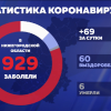 Подтверждено еще 69 случаев заражения коронавирусом в Нижегородской области