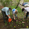 Акция «Палисадник Победы» проходит в Нижегородском регионе
