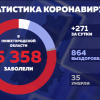 Подтвержден еще 271 случай заражения коронавирусной инфекцией в Нижегородской области
