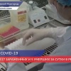 Еще 317 случаев коронавируса выявлено в Нижегородской области