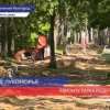 Началось благоустройство парка имени Пушкина в Нижнем Новгороде