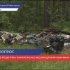 Несанкционированные свалки обнаружены в поселке Решетиха