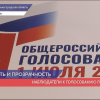 Нижегородские наблюдатели за всеобщим голосованием по Конституции готовы