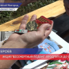 Акция «Бессмертный подвиг» продлится до 1 июля в регионе