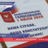 Нижегородские наблюдатели и эксперты оценили высокий уровень проведения голосования по Конституции
