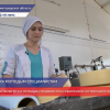 Господдержка молодых аграриев в Нижегородской области растет
