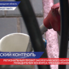 Региональный проект экологического контроля выиграл президентский грант