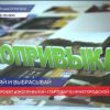 Проект #ЭКОПРИВЫКАЙ стартовал в Нижегородской области