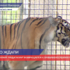 Зоопарк «Мадагаскар» заработал в привычном режиме для нижегородцев
