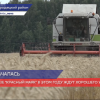 Началась жатва на полях в Нижегородской области