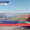 Крупный пожар на зерновом поле в Гагинском районе удалось потушить