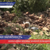 Ликвидирована свалка хлеба в центре Нижнего Новгорода