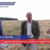 Личный рекорд 2020 года по сборке урожая поставили комбайнеры Богородского района