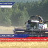 Уборочная кампания набирает обороты в Нижегородской области
