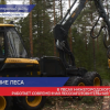 Благодаря господдержке в нижегородских лесах работает современная лесозаготовительная техника