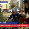 Еловую аллею высадили у детского сада № 46 в Нижнем Новгороде