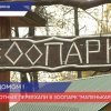 Животные из нижегородского зоопарка «Мишутка» переезжают в «Маленькую страну»