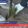 Всероссийская акция «Сохраним лес» состоялась в Борском районе