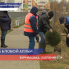 Еловую аллею создали в микрорайоне Бурнаковский