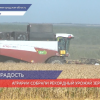 Нижегородские аграрии собрали рекордный урожай зерновых
