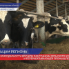 Вручили награды работникам сельского хозяйства и перерабатывающей промышленности Нижегородской области