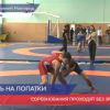 Всероссийский турнир по греко-римской борьбе прошёл в ННГУ им. Лобачевского