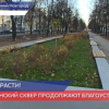 Липовую аллею высадили в сквере на Звездинке в Нижнем Новгороде
