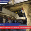 Роботизированная ферма заработала в племзаводе им. Ленина в Ковернинском районе