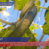Открыли первую теплицу по выращиванию свежего огурца по технологии светокультуры в Нижегородской области