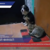 Собака Кузя и кошка Муся обрели новый дом