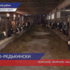 Зимовка на ферме хозяйства «Успех» проходит благополучно