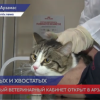 Новый ветеринарный кабинет открыт в Арзамасе