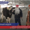 В Ковернинском районе поздравили животных с Новым годом по китайскому календарю