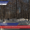 В Нижегородскую область пришли аномальные морозы
