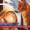 День кошек 1 марта: интересные факты о животных
