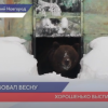 Бурый медведь Балу проснулся в зоопарке «Лимпопо»