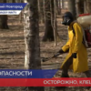 В Роспотребнадзоре рассказали с какими опасностями могут встретиться нижегородцы с приходом весны