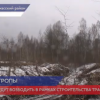 28 экодуков планируют возвести в Нижегородской области в рамках строительства трассы М-12