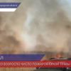 Противопожарный режим введен в Нижнем Новгороде  с сегодняшнего дня