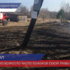 В Нижегородской области резко возросло число природных пожаров