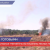 Масштабные учения по тушению лесных пожаров состоялись в Борском районе