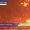 Природный парк «Артемовские луга» горит в Нижегородской области