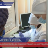 23 случая присасывания клещей зафиксировано в Нижегородской области