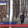 Акарицидную обработку проводят в Сормовском районе
