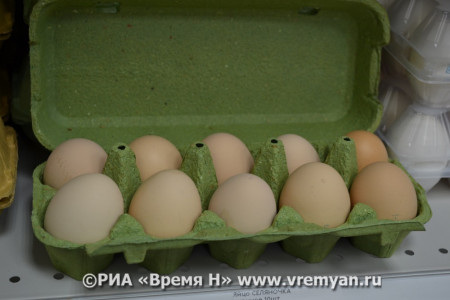 УФАС разбирается в причинах повышения цен на куриные яйца