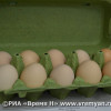 УФАС разбирается в причинах повышения цен на куриные яйца