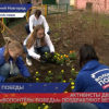 Активисты движения «Волонтеры Победы» поздравляют нижегородских ветеранов