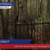 Судебные приставы привели в порядок заброшенную могилу фронтовика на Бугровском кладбище