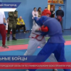 38 бойцов приняли участие в чемпионате Нижегородской области по универсальному бою